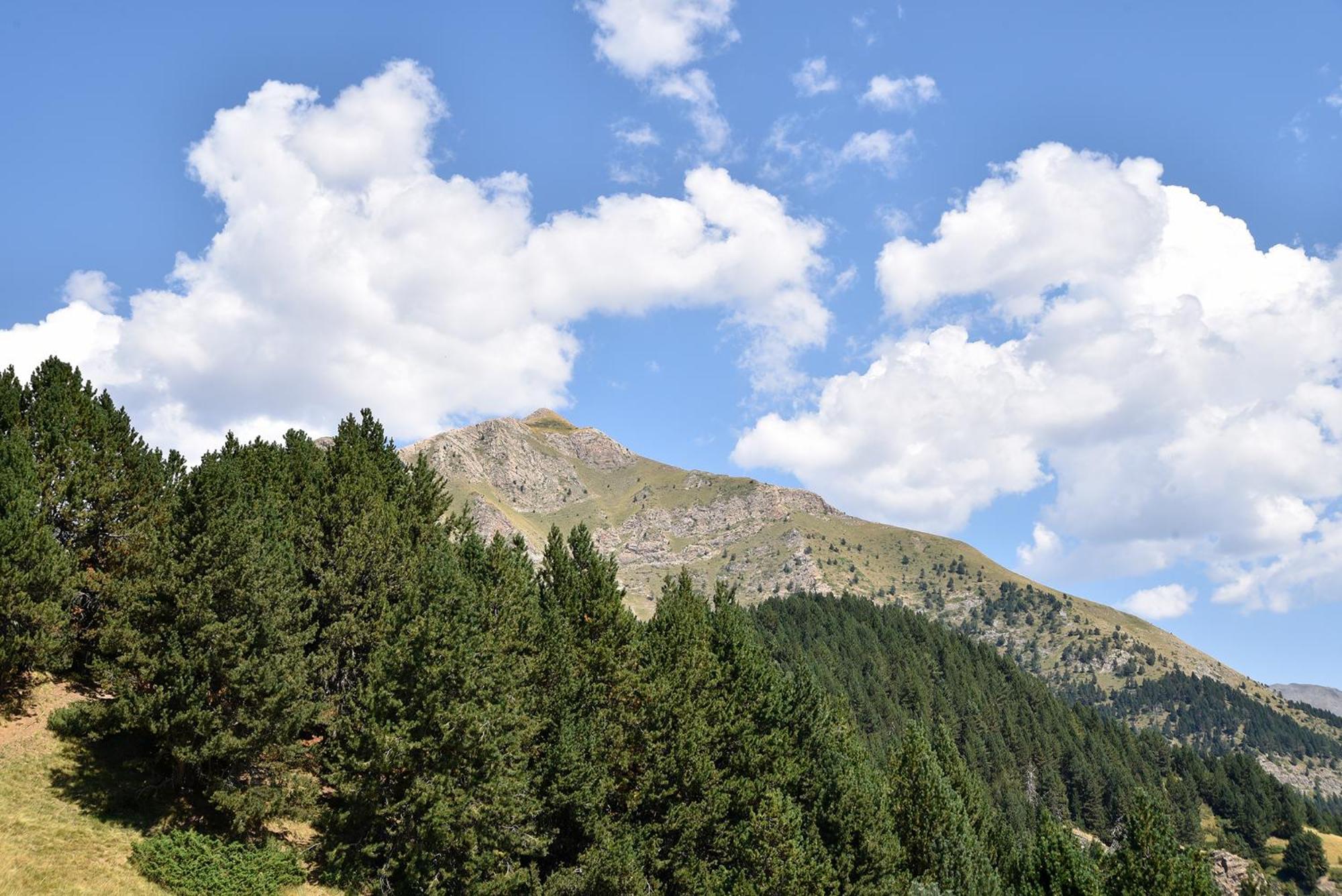 Hotel NH Collection Andorra Palomé Erts Exterior foto